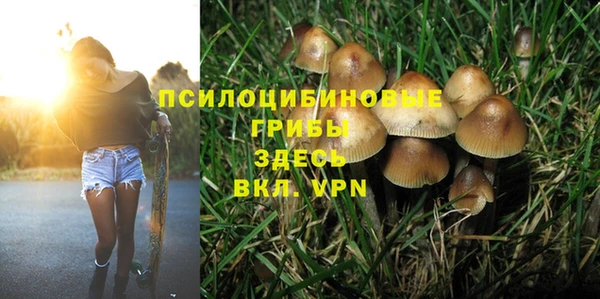 а пвп мука Балабаново