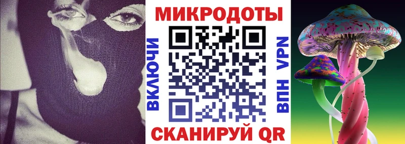 как найти   Тихорецк  Псилоцибиновые грибы Cubensis 